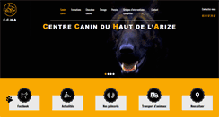 Desktop Screenshot of centrecanin31.com